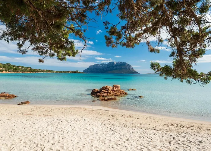 Casa Cindy Appartement